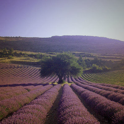 Road trip en Provence 2 | Sun E Bike Road trip en Provence 2