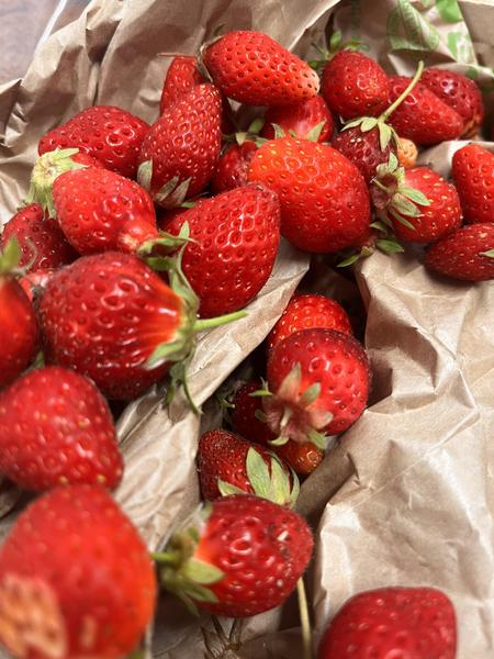 Production de notre jardin