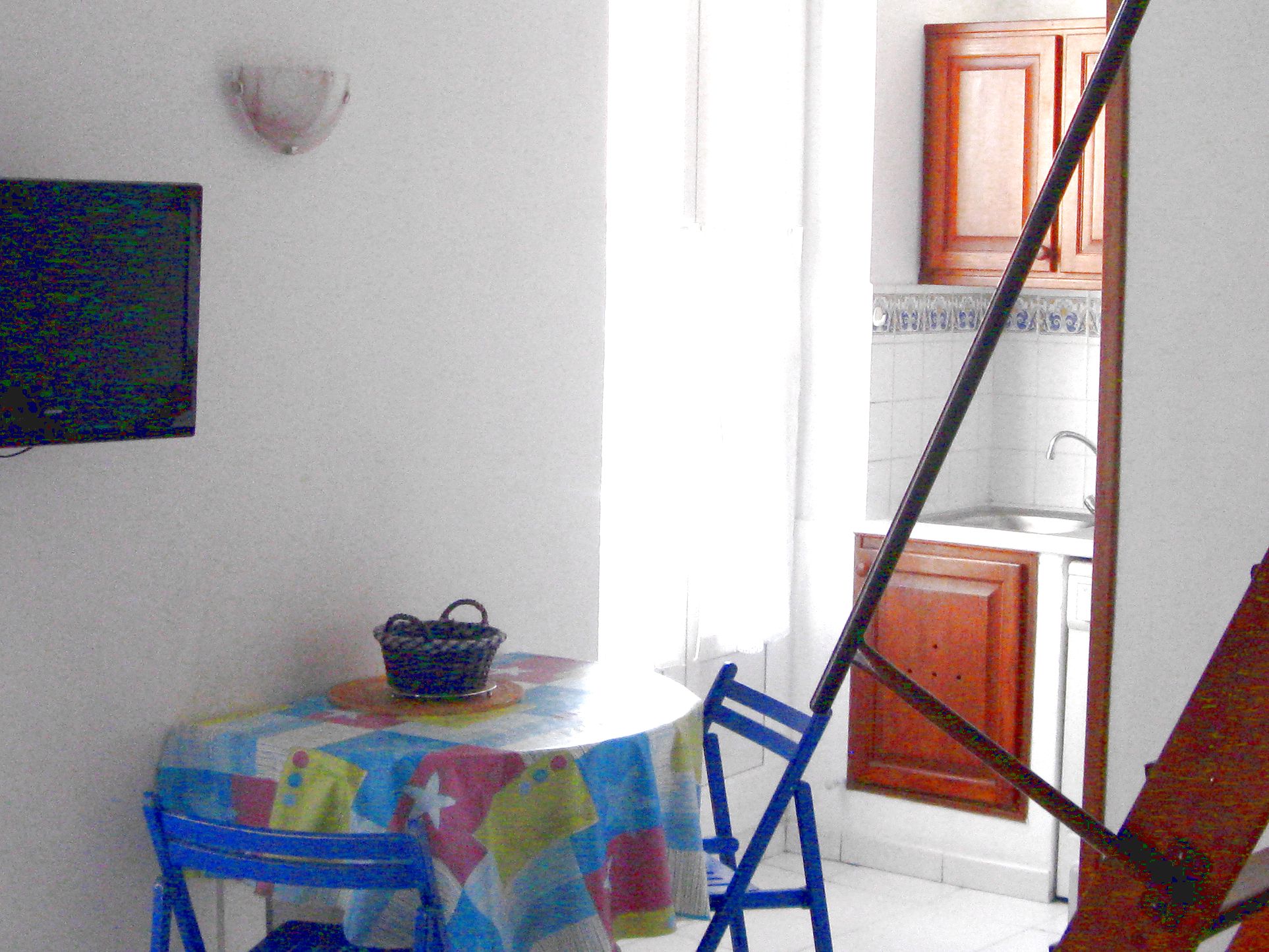 Anemone, Cassis - photo 9