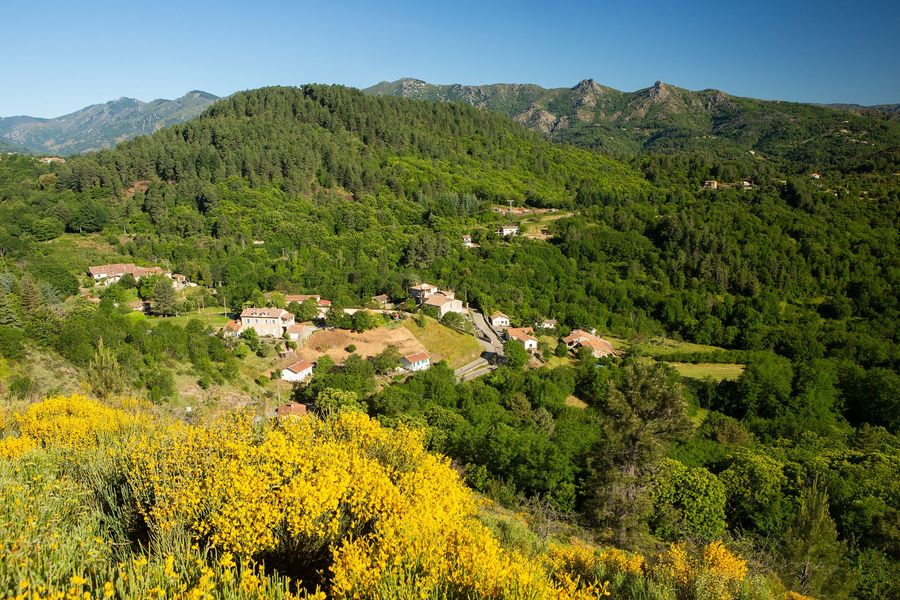 Saint-Cirgues-de-Prades - Vue générale 2 ©S.BUGNON