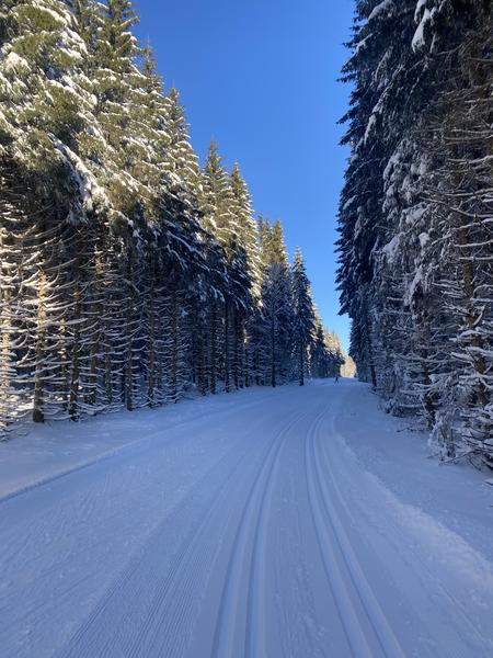 Ski nordique sur le Site de Lachat_Haut Valromey