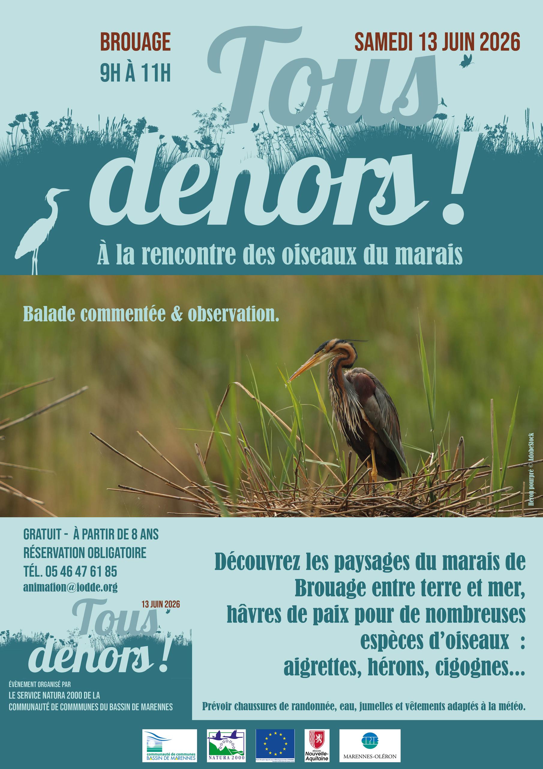Tous dehors à la rencontre des oiseaux du marais du Brouage