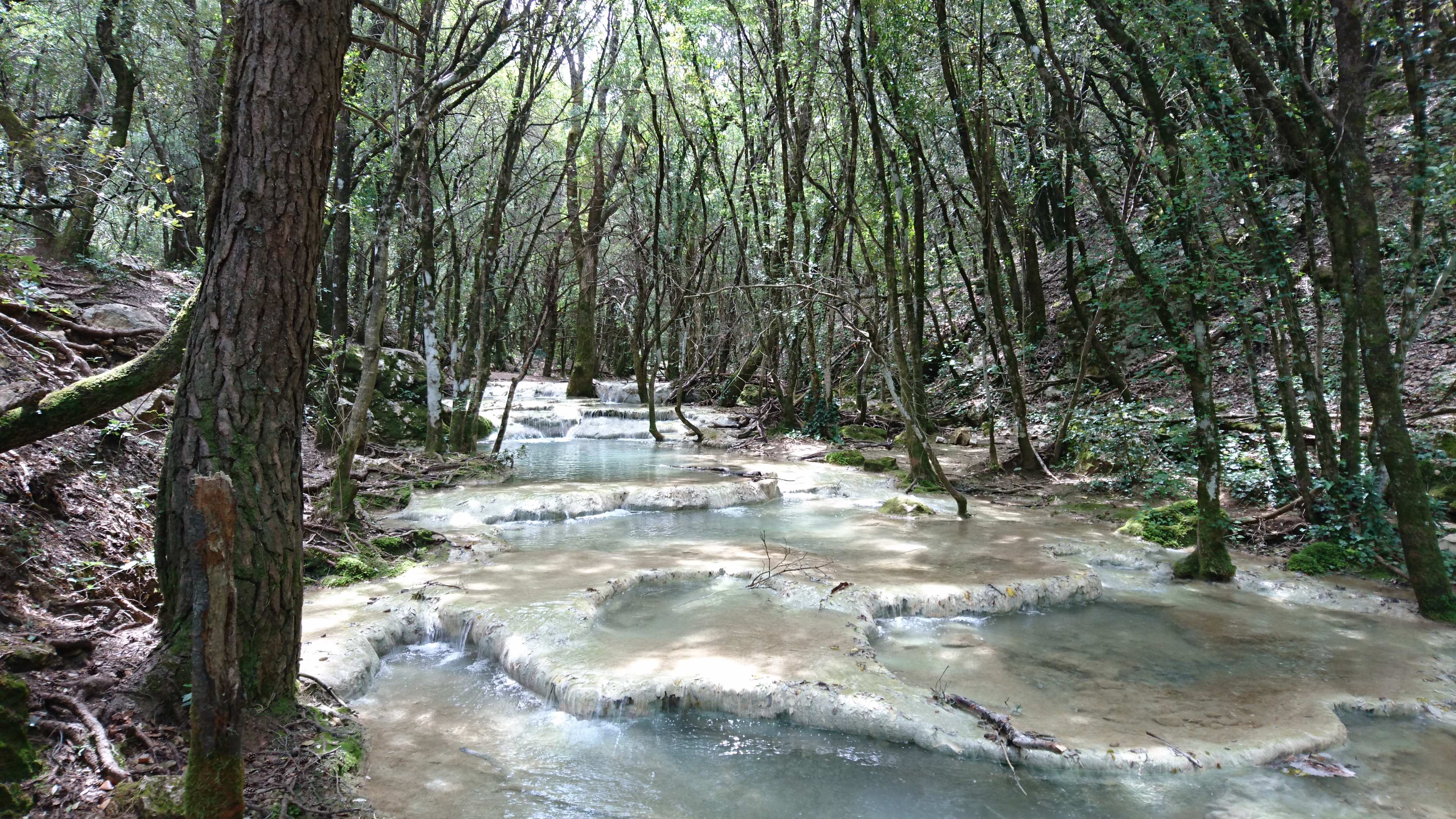 Massif de la Sainte Baume, Aubagne - photo 12