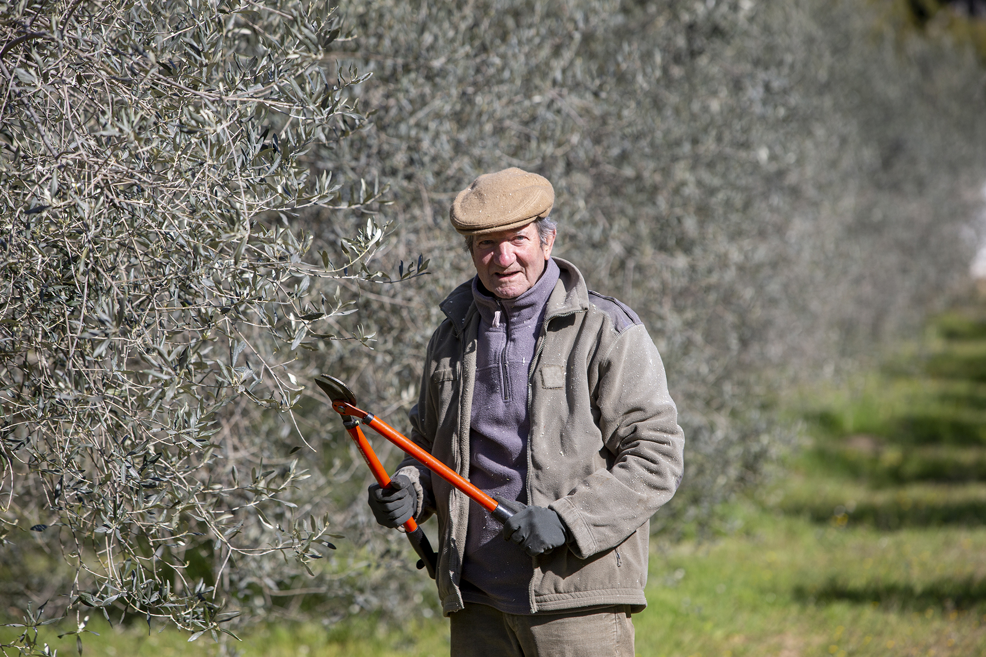 Oleiculteur GIMENEZ