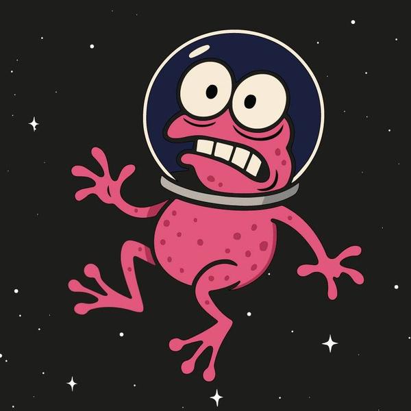 Soirée reprises POP/ROCK avec PINK FROG 