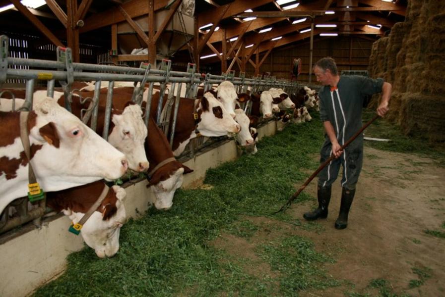 GAEC de l'Artisou Rosières