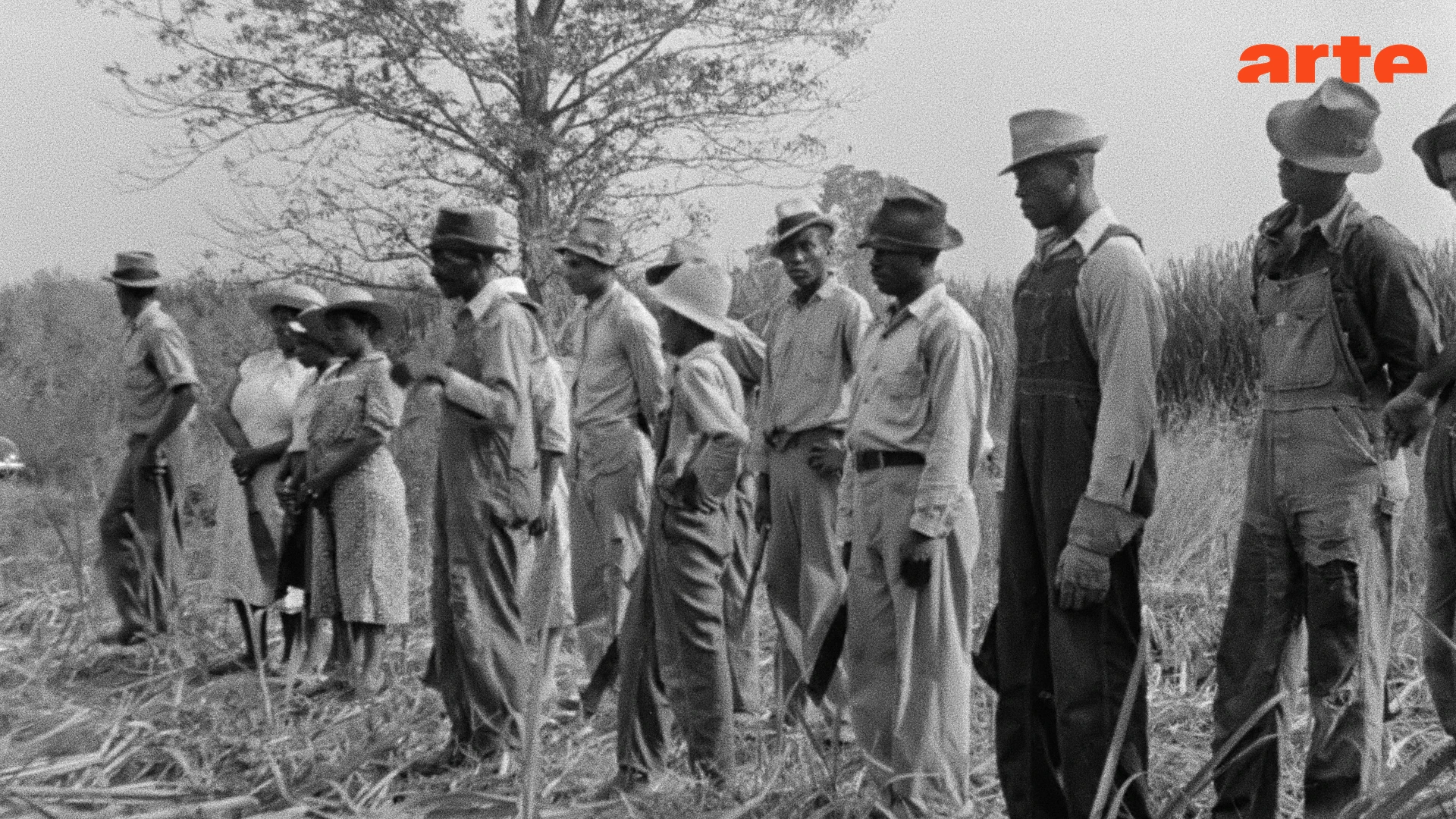 Le sucre, pour la douceur et pour le pire