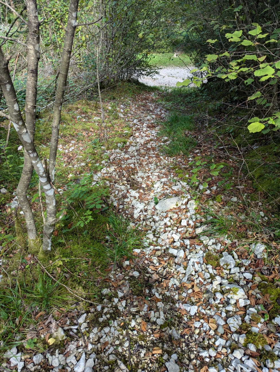 photosFeed-https://static.apidae-tourisme.com/filestore/objets-touristiques/images/83/167/25405267.jpg