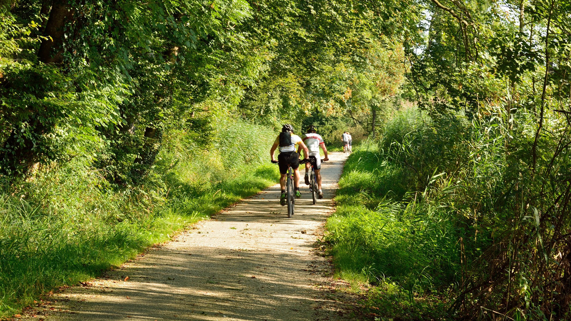 Locations de VTT à assistance électrique - Asvolt
