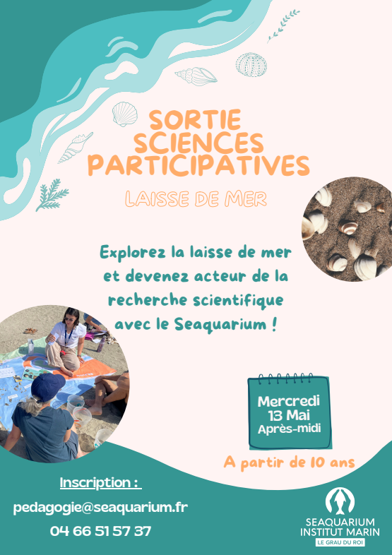 Sciences participatives : partez à la découverte de la laisse de mer avec le Seaquarium Institut Marin