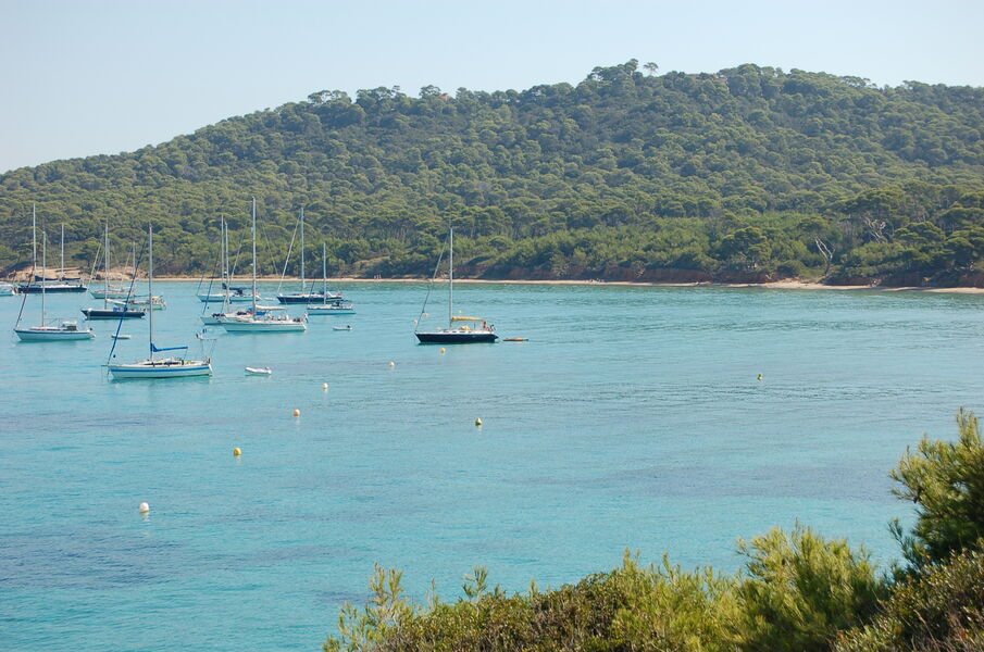 Plage de la Courtade - île de porquerolles - Hyères