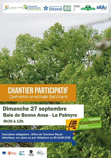 Chantier participatif - Opération d’arrachage de Baccharis