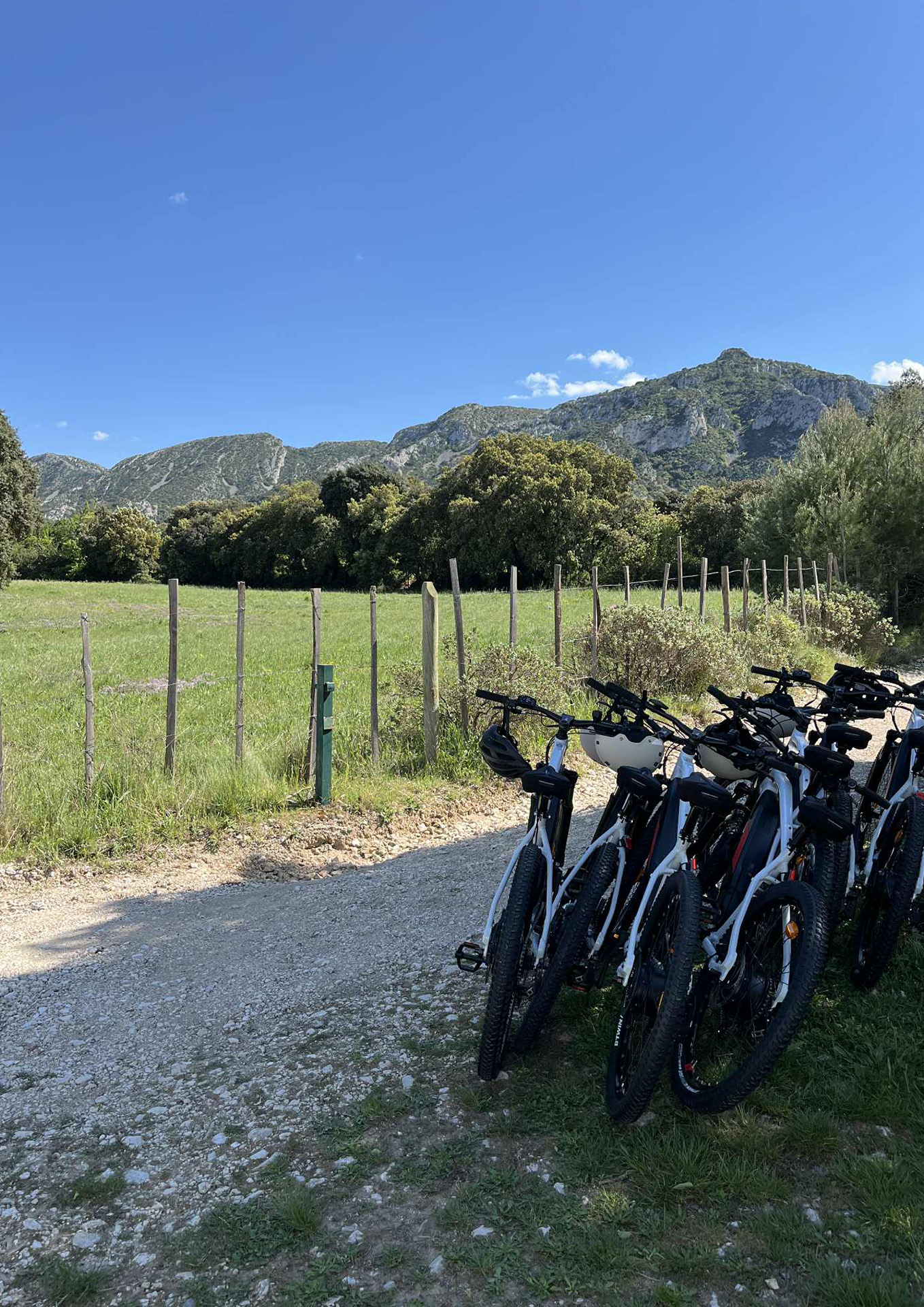 Terroir à vélo, Saint-Rémy-de-Provence - photo 3