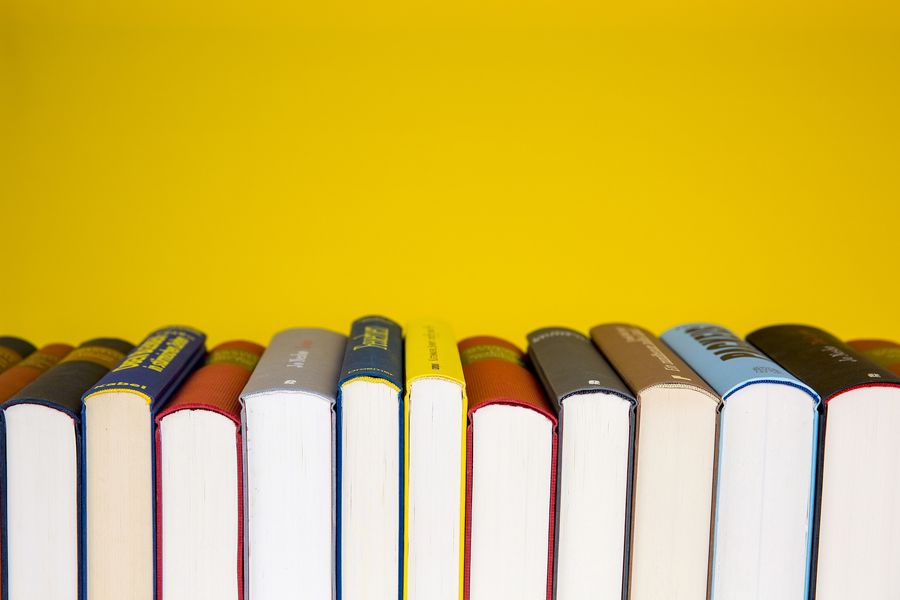 Bibliothèque - Landes