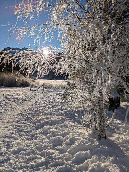 Itinéraire raquettes 