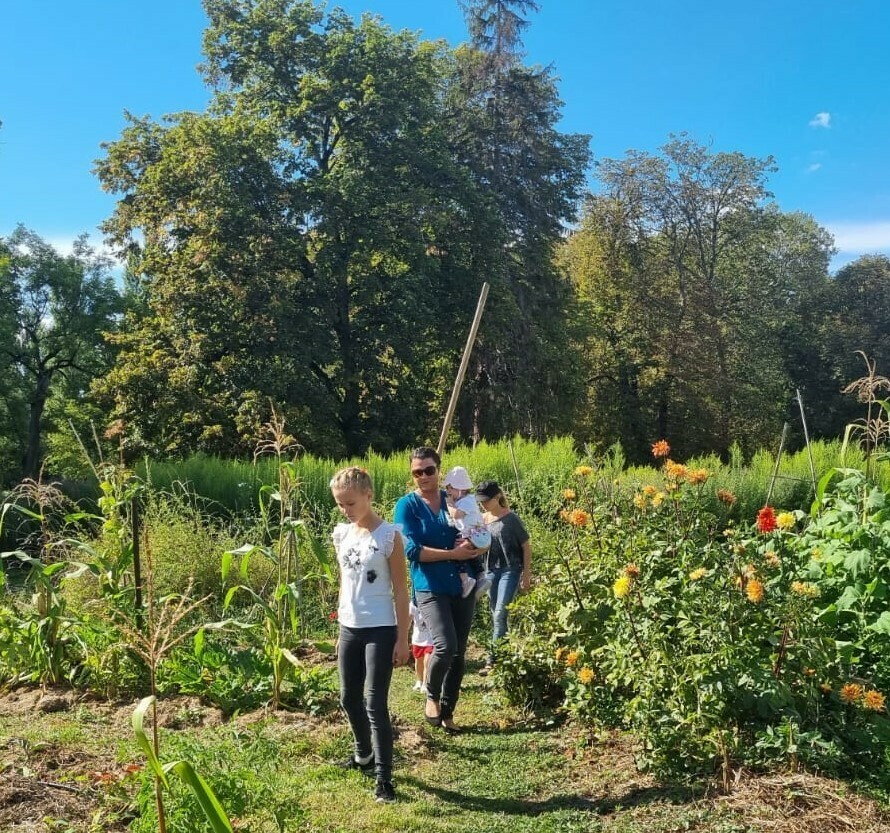 Mon jardin rêvé | Rendez-vous aux jardins 2026
