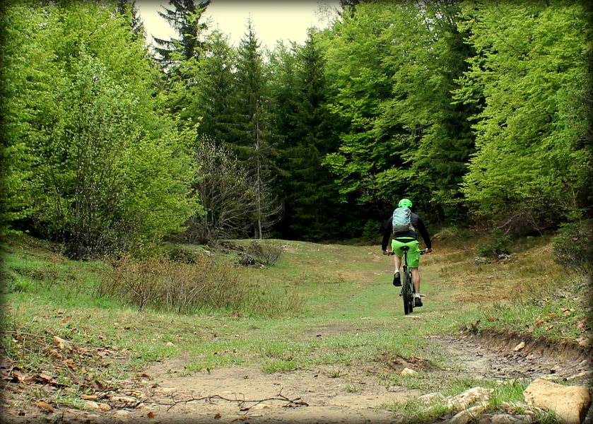 Piste VTT FFC verte - La Féclaz