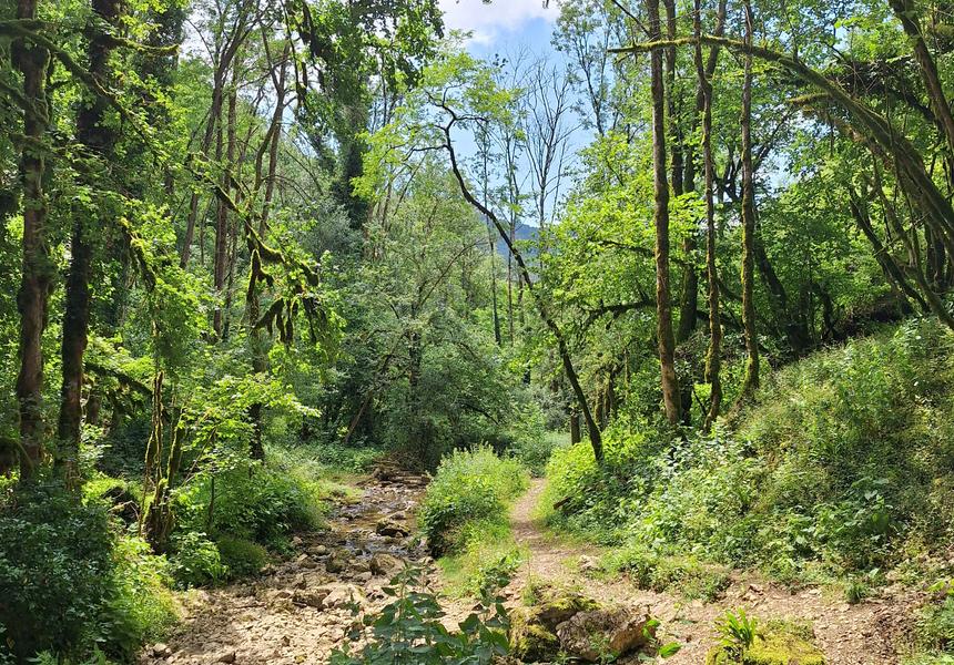 Balade contée : murmures entre les branches_Torcieu
