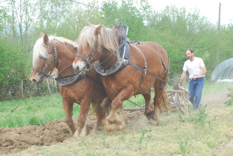 Le Château partagé_Dullin
