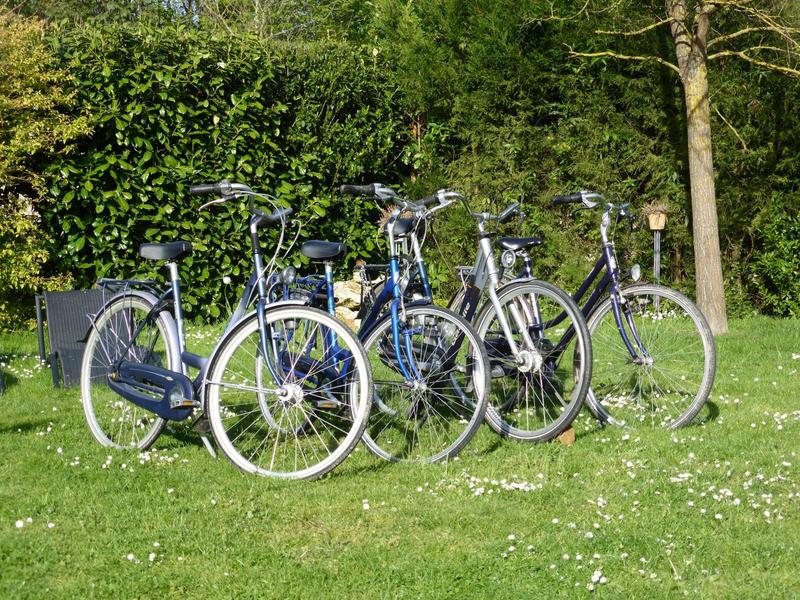 Des vélos prêts pour vos escapades sportives Des vélos prêts pour vos escapades sportives