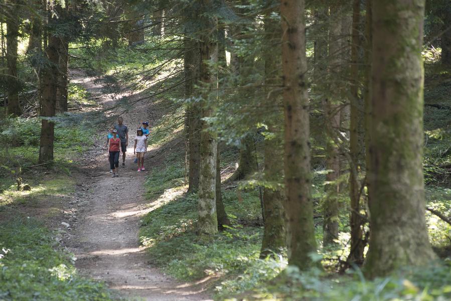 Mont Tournier_Saint-Genix-les-Villages