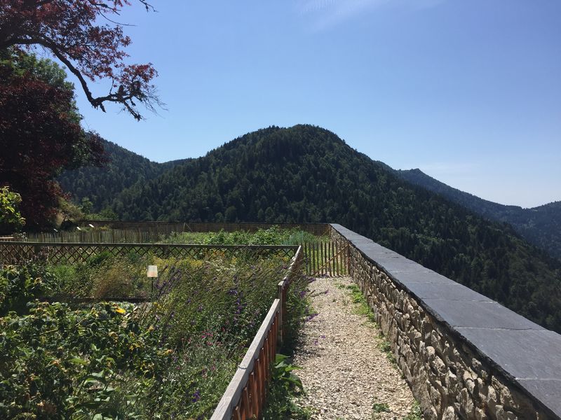 Randonnée Sentier des Chartreux - Lochieu - Arvière