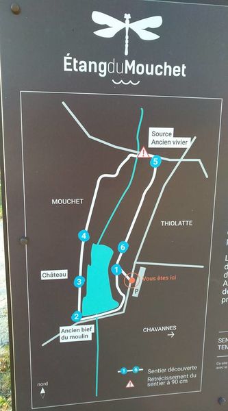 Etang du Mouchet _ Chavannes_ @Stephanie Veyret