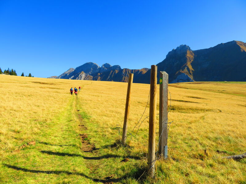 Les Rochers de Leschaux
