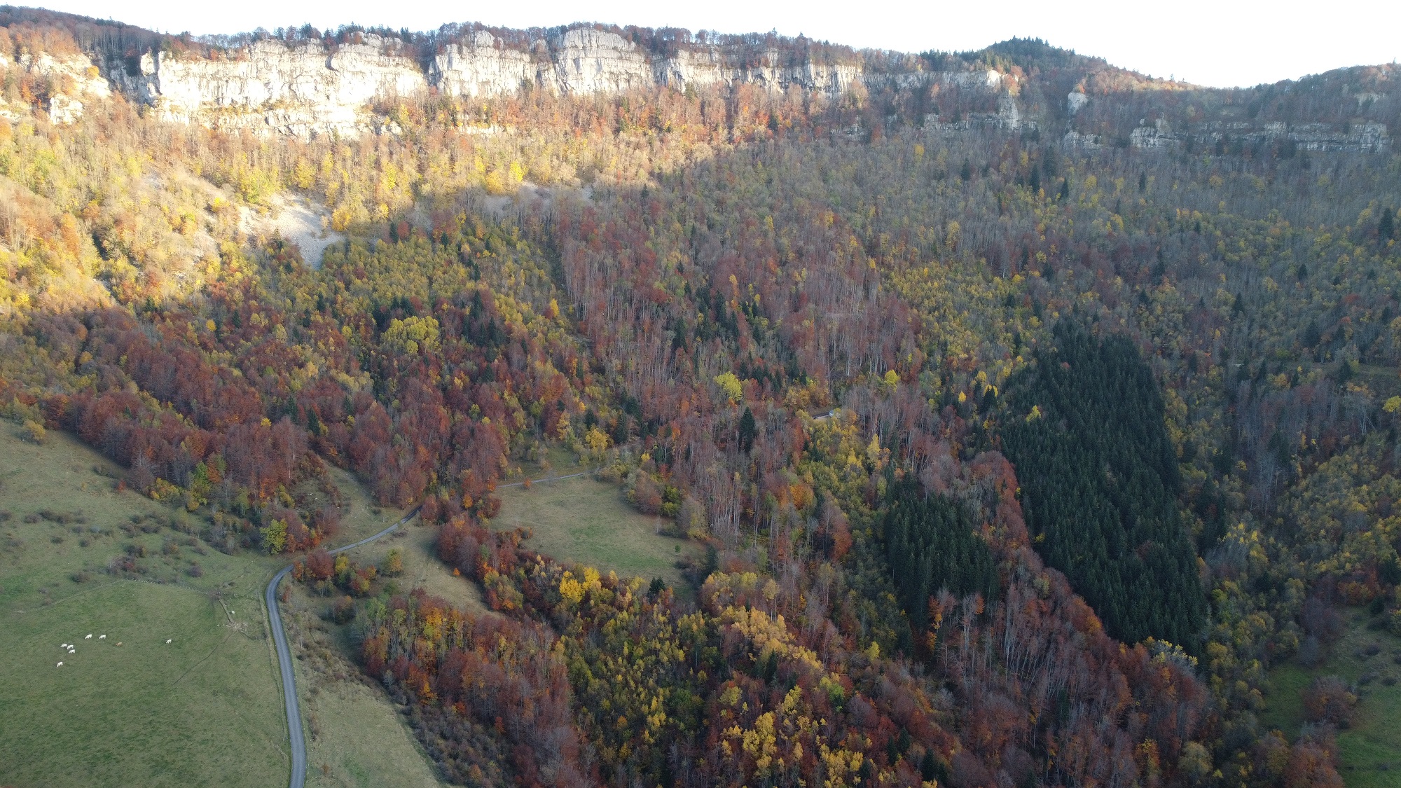 Vue sur les falaises