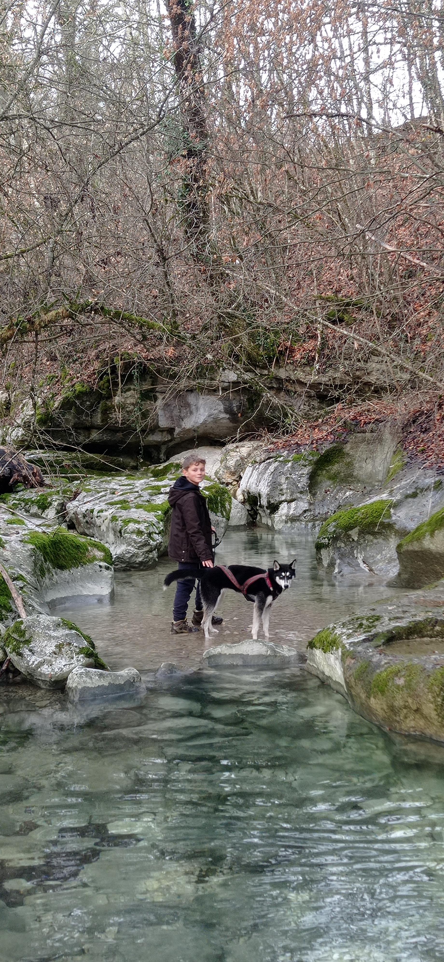 Cani-rando avec Symbiose