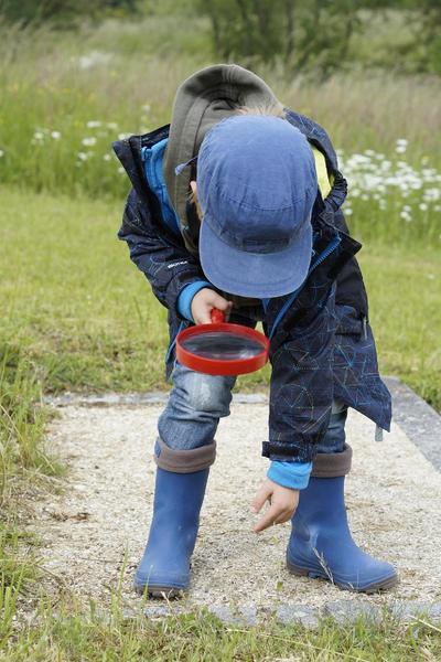 http://Ferme%20de%20la%20forêt%20-%20Apprentis%20naturalistes