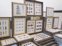 Exposition - Cabinet des curiosités - Welcome_Veauche