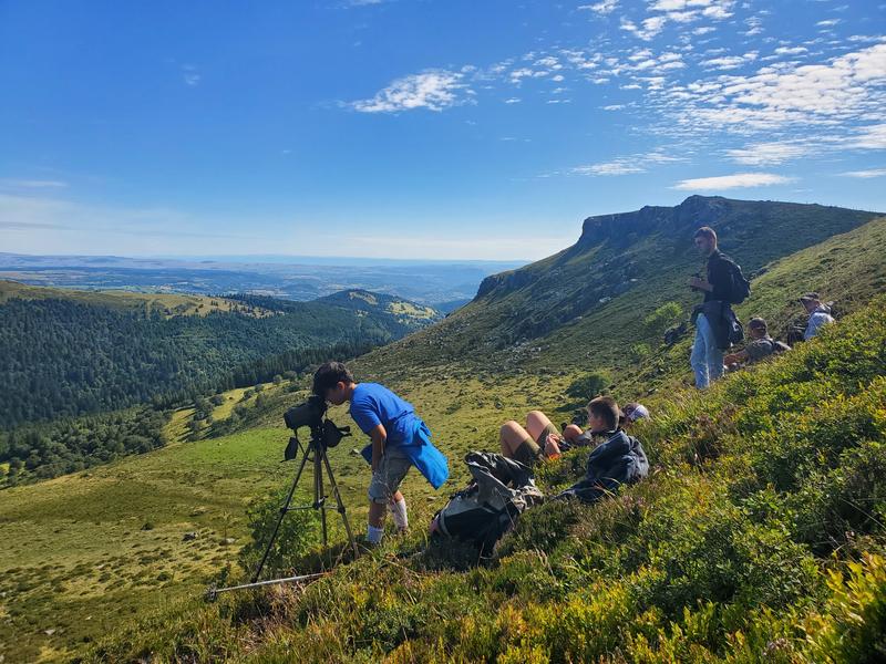 Marmottes du Puy de Grandval - Randonnée avec Gilles Guilloteau