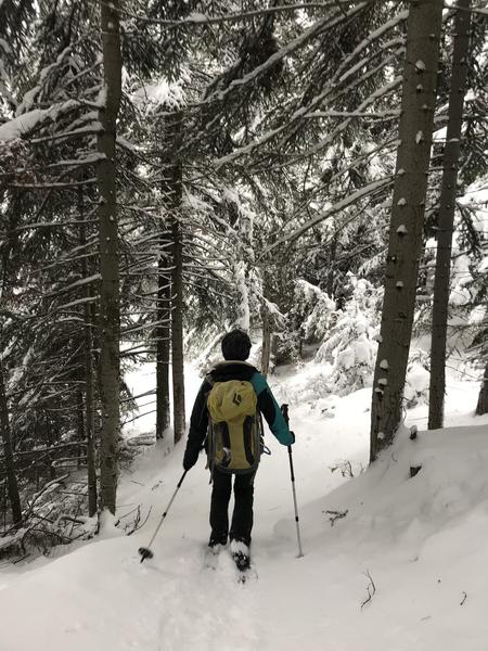 Balades en raquettes avec Les rando du Lavvu à La Norma