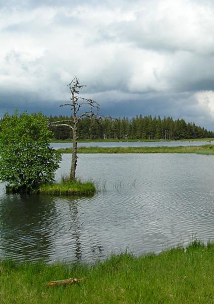 Lac Servieres, transport en mini-bus, randonnée accompagnée