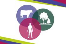 [Visuel] Soirée une seule santé - sans logos ni titre