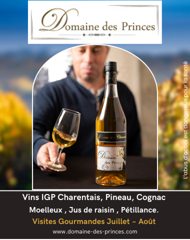 Visite du domaine viticole - Domaine des Princes