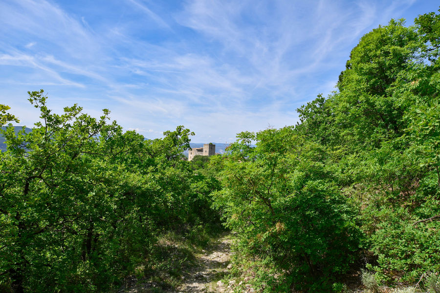 Vue sur le château