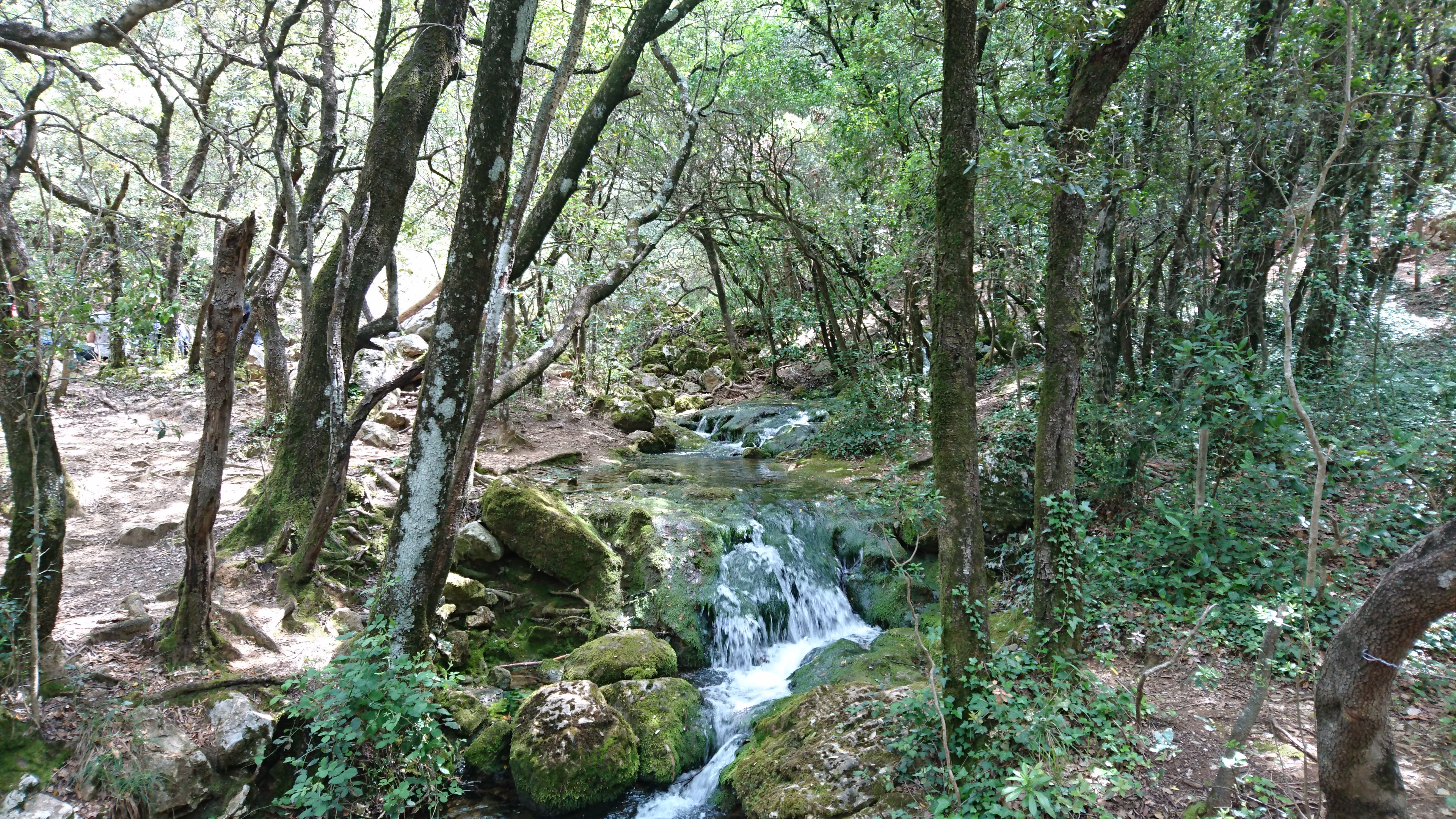 Massif de la Sainte Baume, Aubagne - photo 13