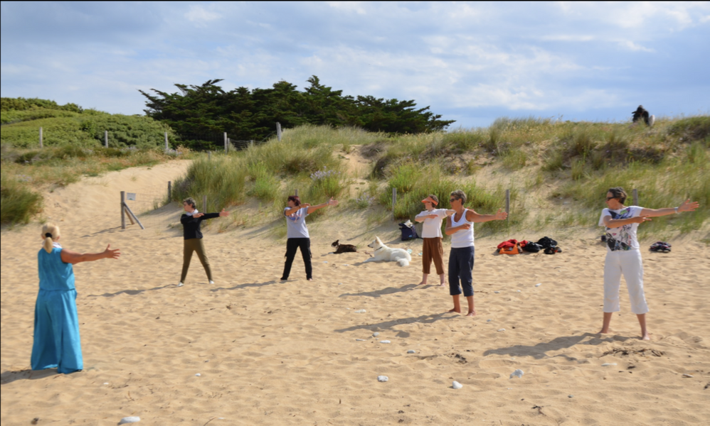 Qi gong par Moovia Energy