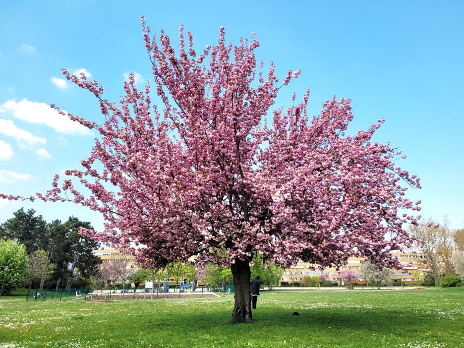 Parc Descartes_Massy
