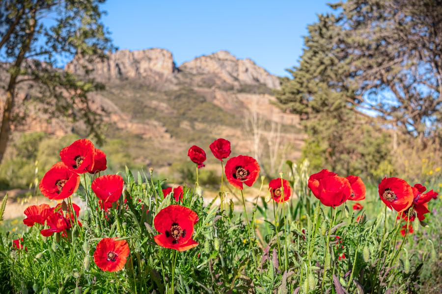 Défi nature au lac de l'Aréna_Roquebrune-sur-Argens