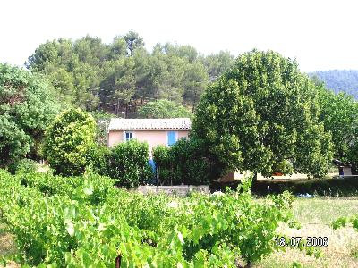 Le Tilleul, Auriol - photo 8