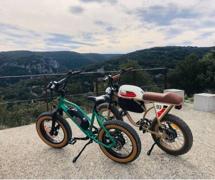 Location de vélos électrique vintage avec les bikes de papa - 1/2 journée