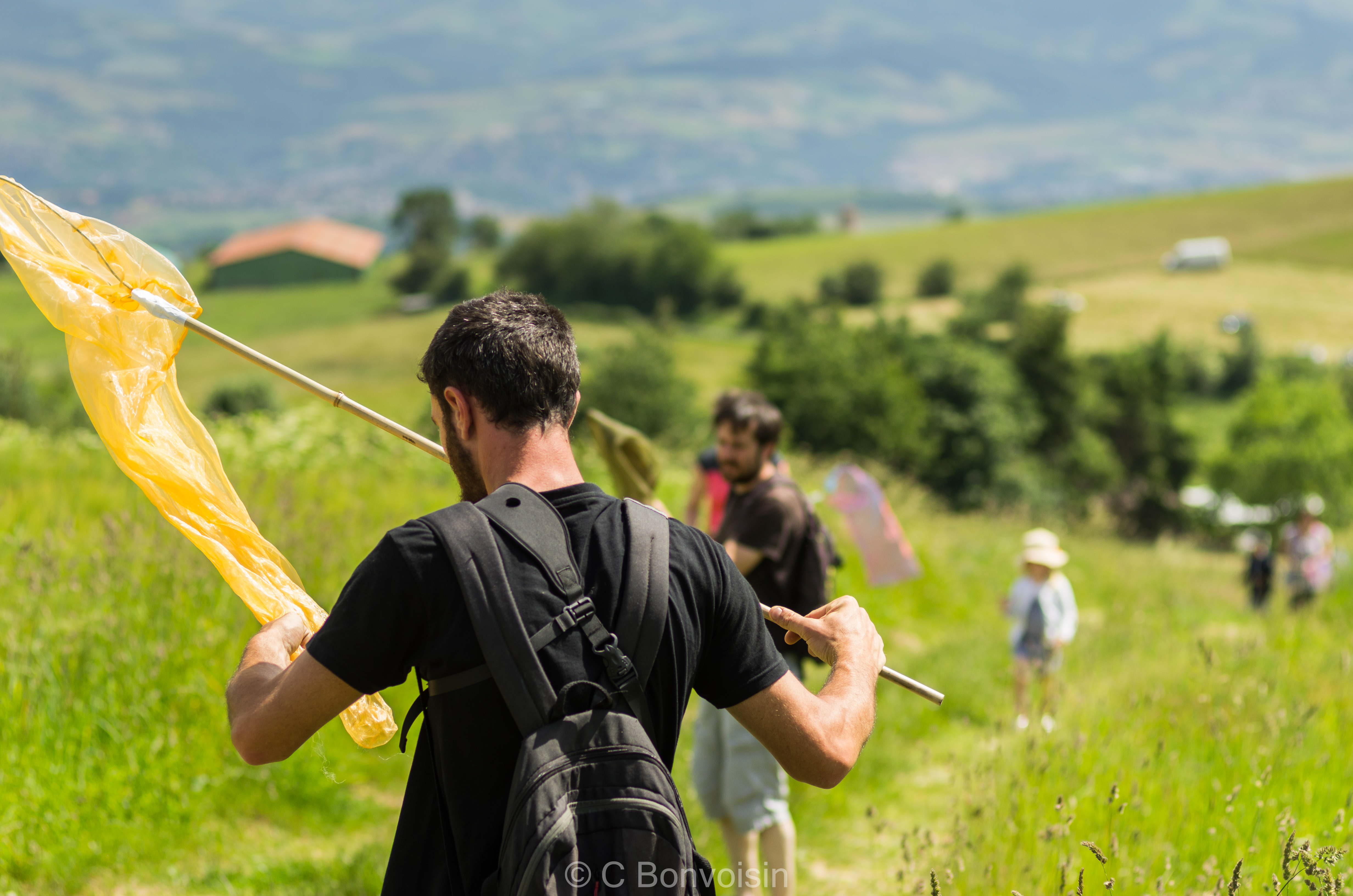 A la découverte des petites bêtes de la fôret_Aveize
