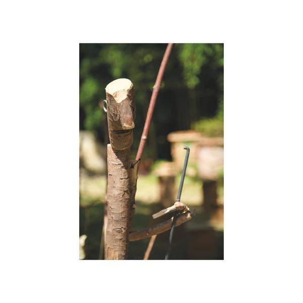 L'homme qui plantait des arbres - Café de l'A4