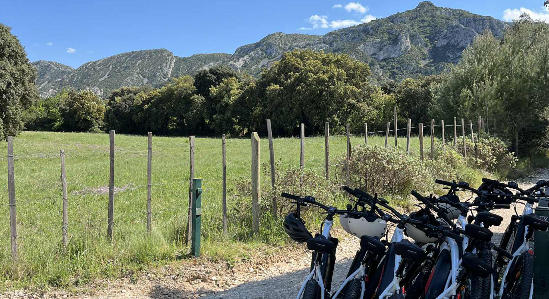 Terroir à vélo, Saint-Rémy-de-Provence - photo 5