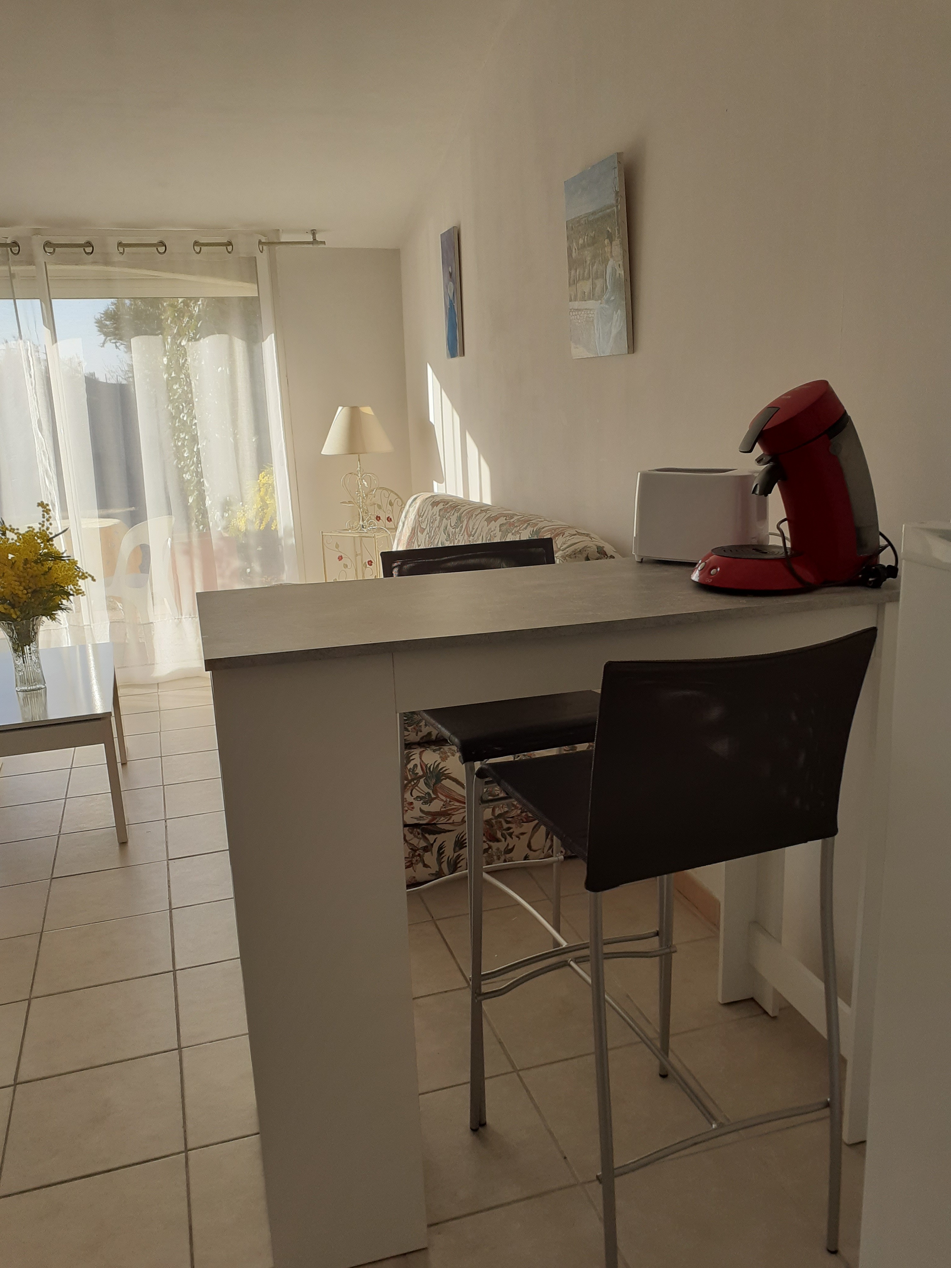 Les Olivades, Arles - photo 15