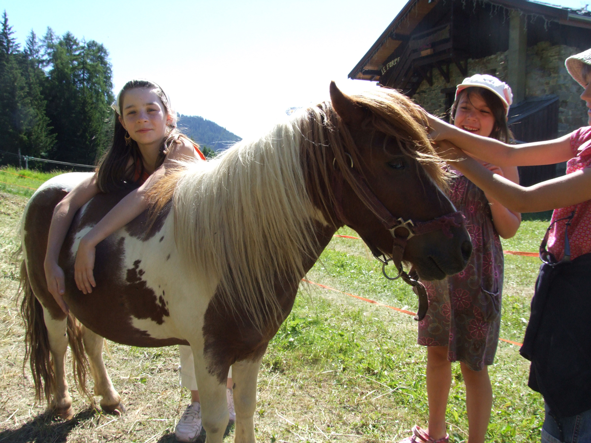 Location poney