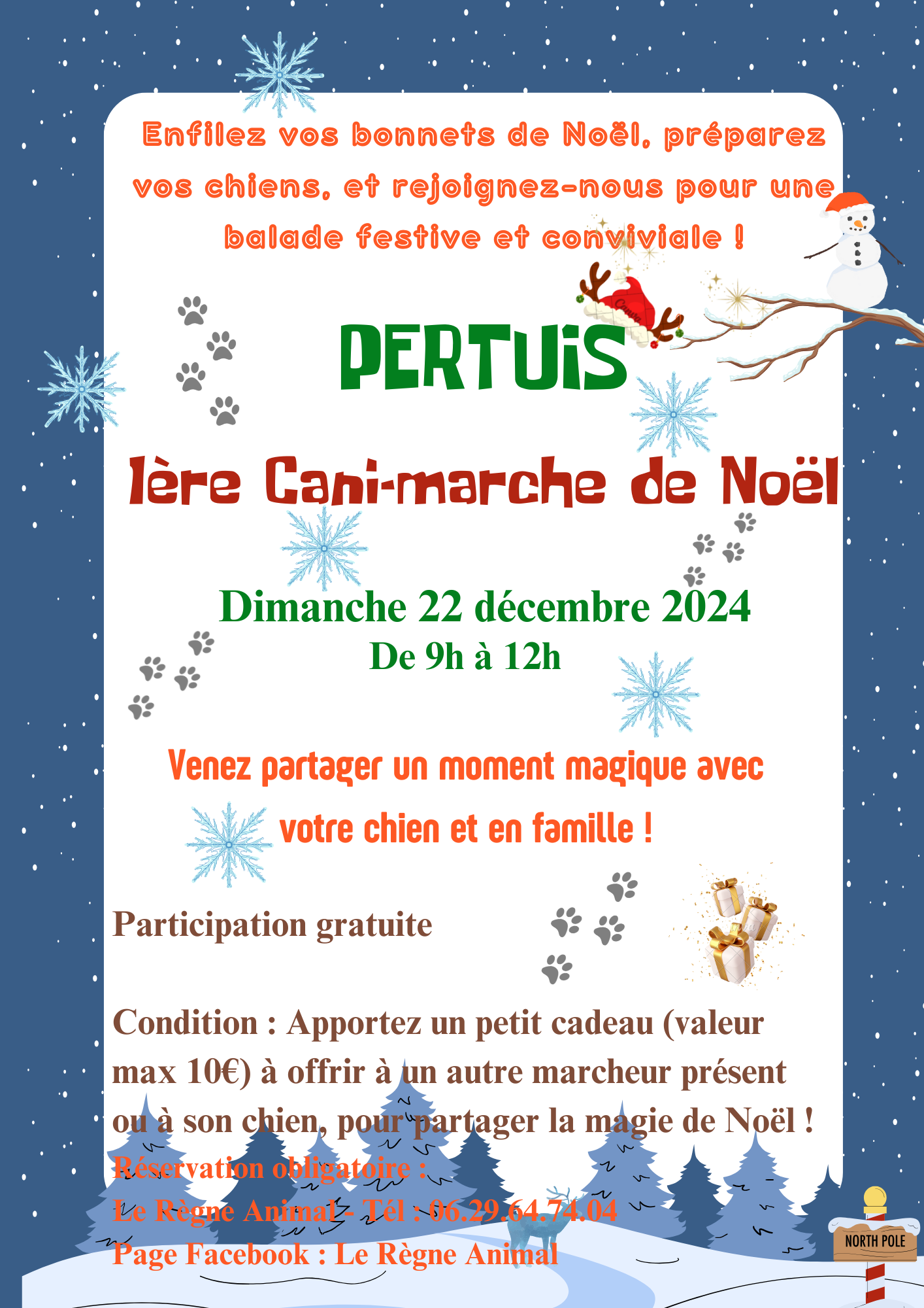 1ère Cani-marche de Noël